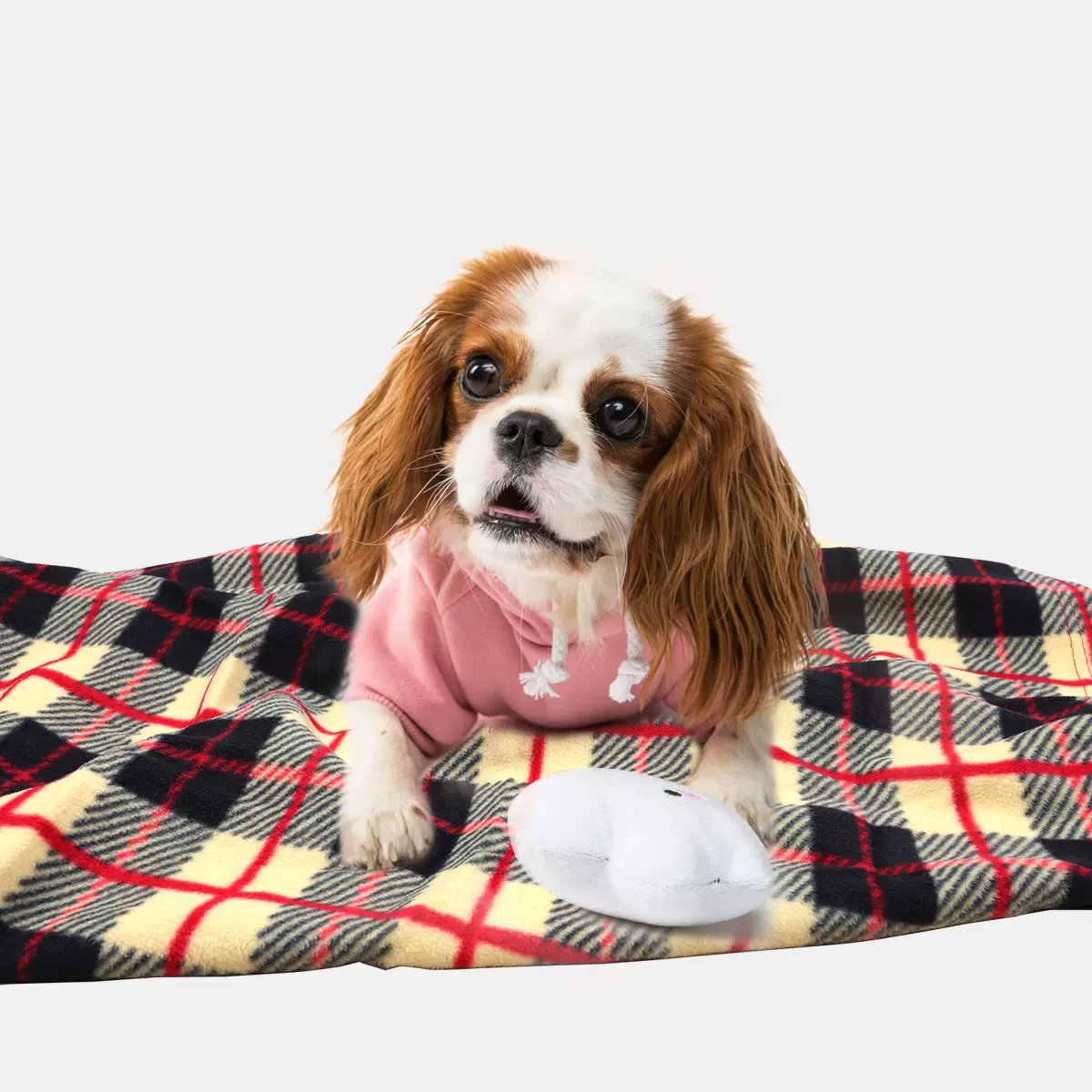 BUXTOW猫狗宠物垫子双面绒摇粒绒半边绒盖毯毛毯批发法兰绒印花毯