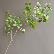 3D打印海桐叶 仿真绿植盆景装饰植物景观叶七星叶鸭脚木跨境热销