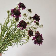 滨xݸƷ|{軨҃Ⱦ^Ҿbյֲٻ