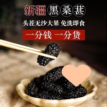 苏小鲜新疆黑桑葚干 优选饱满大颗粒免洗无沙100g/罐