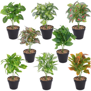 ����G�}�~���� �ع����~�����~�[���҃�ֲ���ľGֲС�Ѳ��b