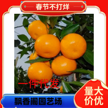 ���S�۽����ϱ���ͥԺ���Ը����玧�����Լ޽ӽ��Ә���箔��Y��