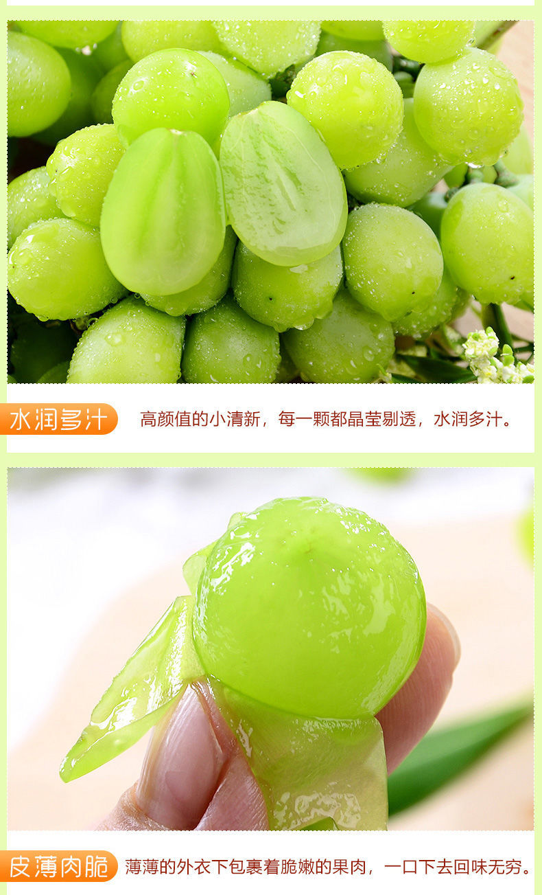 微信图片_202108291444032