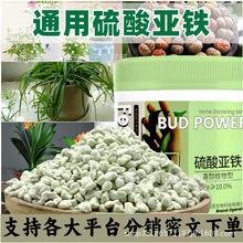 ֲ��ͨ�����၆�F�����{��ֲ�����L���������S�~ˮ�ܷ��B���Gֲͨ