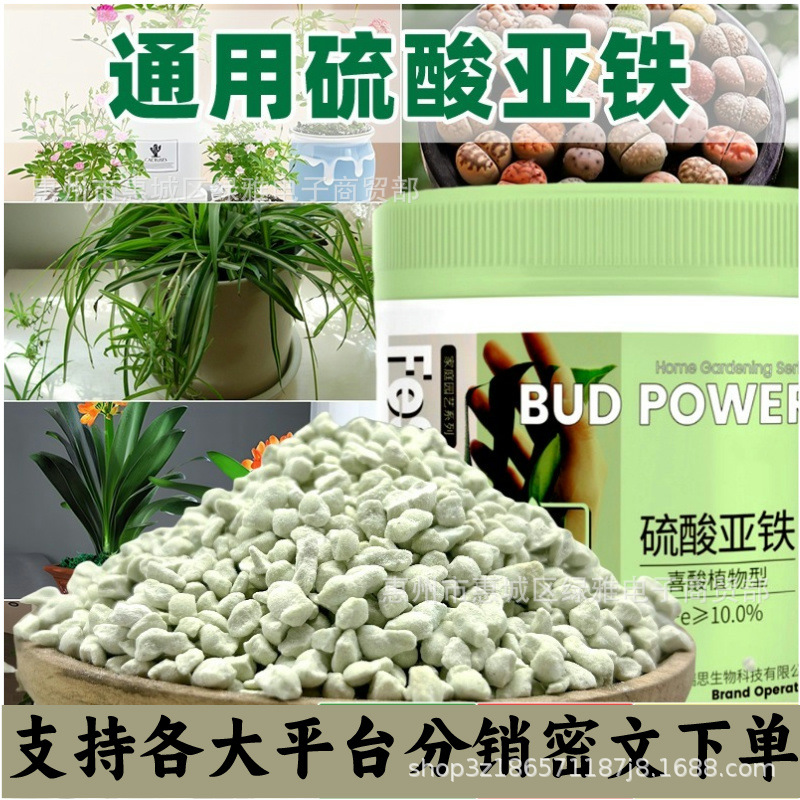 植物通用硫酸亚铁肥料调节植物生长促生根治黄叶水溶肥养花绿植通