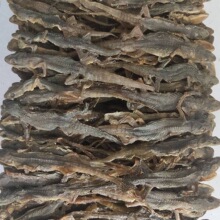 �����ڻ����،m��ș�ıڻ�����ș��ĥ�ۺ��bȫ�l�ڻ�500��һ��