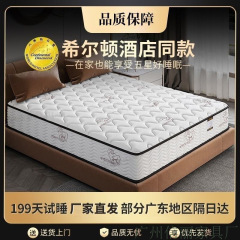 床垫弹簧20cm软垫乳胶1.8米1.5m家用软硬两用椰棕硬垫床垫