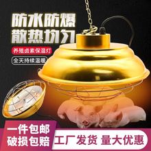 ���؟����Bֳ�������u�ر��؟��i�����i���r�u���ܟ����{�؎�����