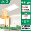 Leshi Wind-Heating Bathroom Heat-Wijin Light-Light-Lighting+Humidification+ventilation 2300W