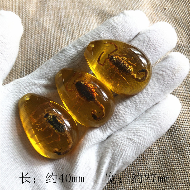 儿童挖掘考古昆虫标本 合成树脂琥珀昆虫 散装水滴盲盒标本现货|undefined