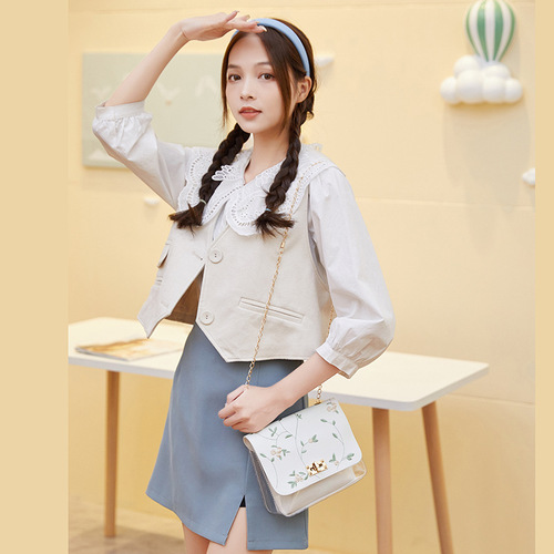 透明小方包韩版2024女包东南亚跨境小包批发女士包刺绣子母包bags