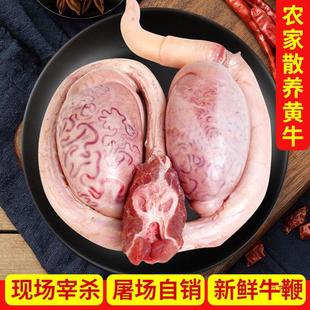 ţ��ţغ���r�����rţ�ެF���r�Sţ������ţ��ţ����������rţ��