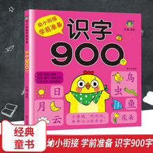 幼小衔接 识字900 学前准备阅读识字分类记字汉字乐园 学前准备