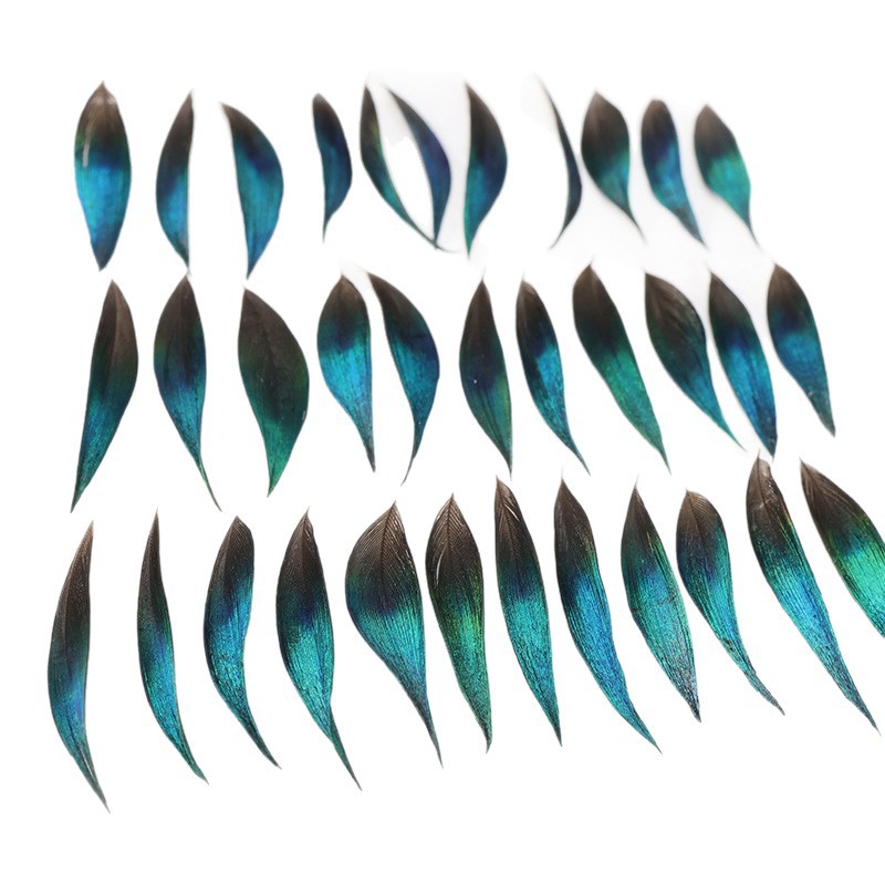 Fábrica al por mayor de bricolaje plumas pequeñas plumas naturales plumas de pollo salvaje plumas de pato jardín de infantes joyas hechas a mano gato divertido material de captura de sueños