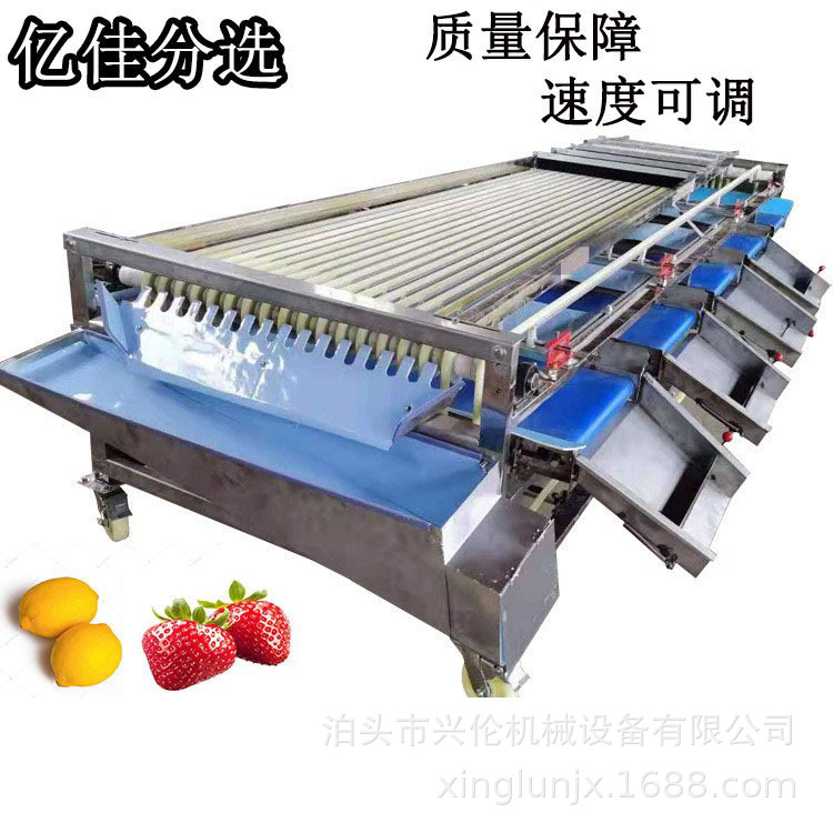 圣女果分级机樱桃筛选机杨梅分果机草莓筛果机荔枝分选机尺寸可调