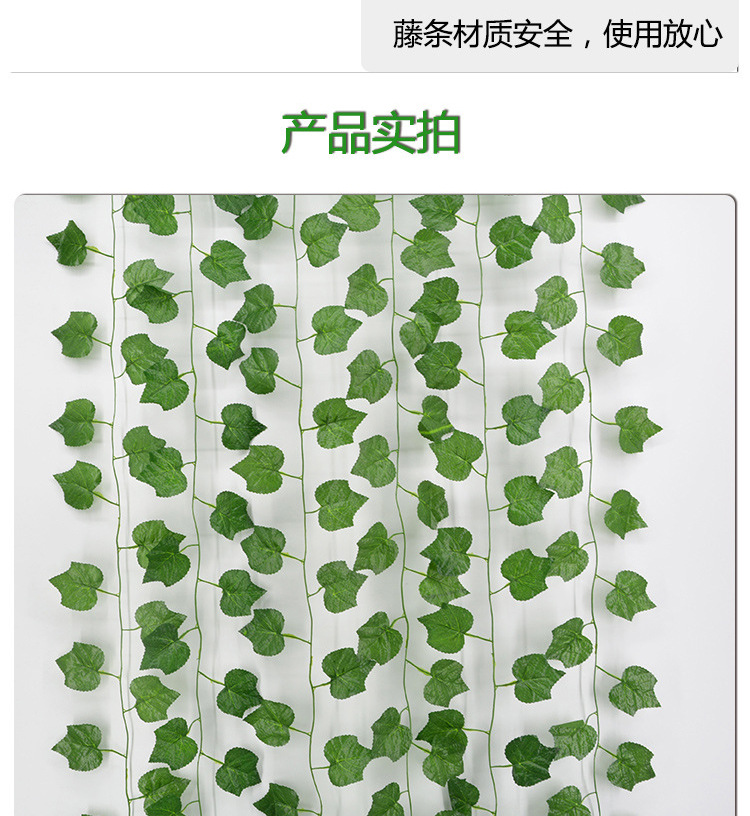 绿植藤条详情_08.jpg