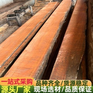 �t̴������ �㻨��ԭľ ���黨�� �㻨�� ��̲��ܶȸ� ���޻���