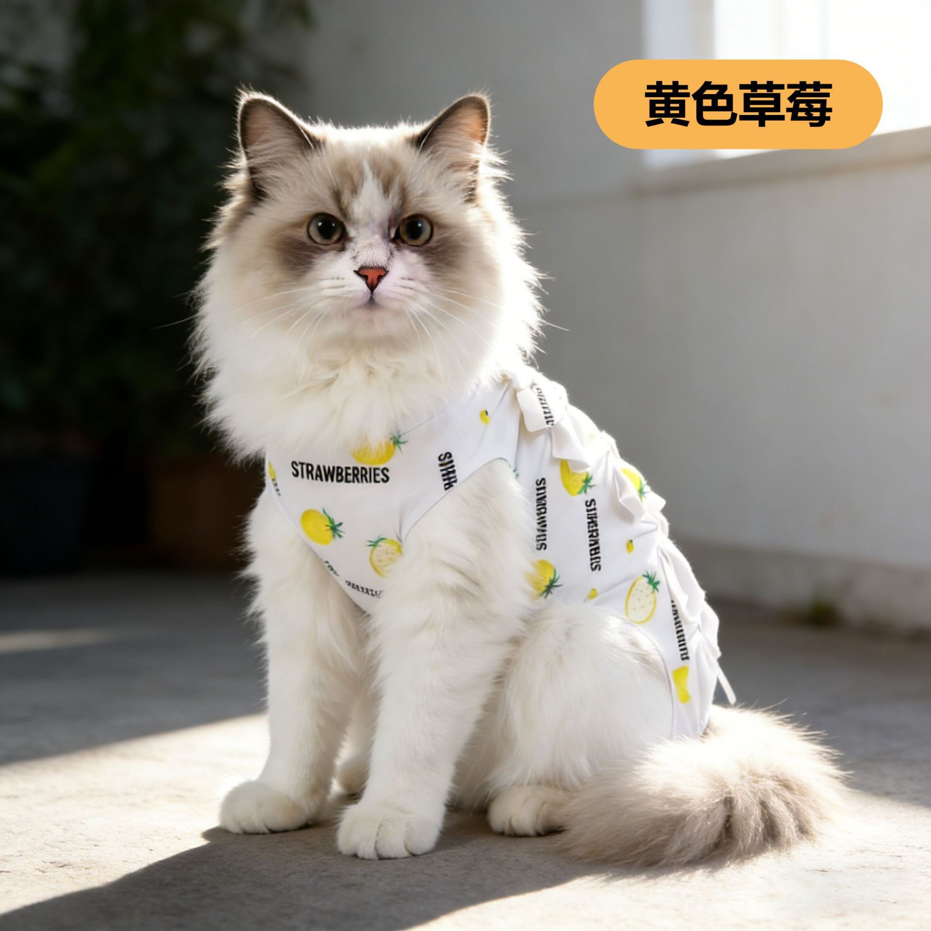 Ropa de esterilización para gatos, ropa de cirugía para hembras, ropa de algodón transpirable, ropa de destete para gatos machos, ropa antilamida para mascotas después de la operación. image 8