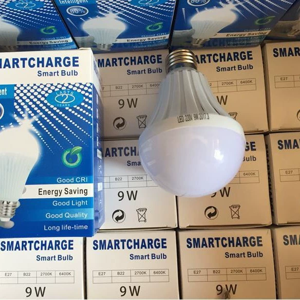 Emergency light, LED energy-saving bulb, travel garden lights, 17 years