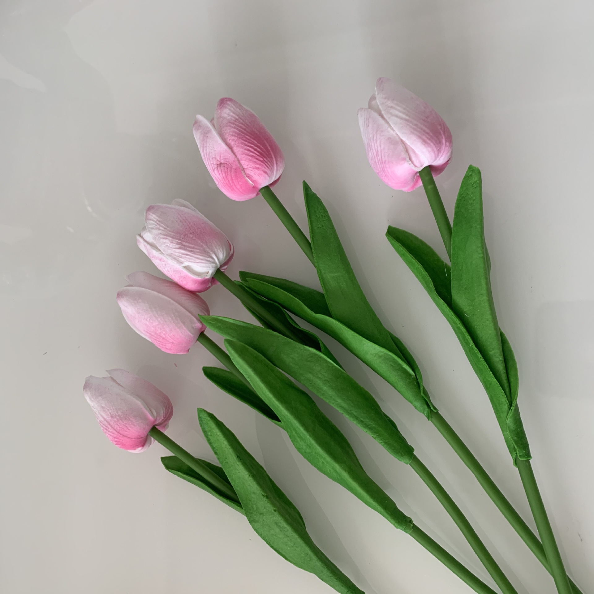 화이트 핑크