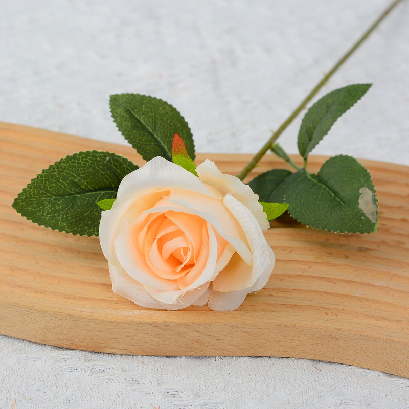 Champagne (silk cloth)