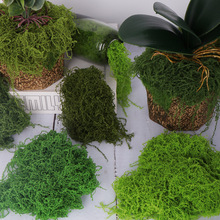 ����z��̦�\����diy���^������̦�z�Gֲ��ƺ�����b������ë�\