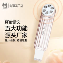 ゴールデンライスカラーライト美容器具フェイシャルリフティング引き締め若返り器具EMS高周波振動導入器具マッサージ美容器具