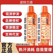 诺特/兰德左旋6万运动健身饮料60000青苹果橙子500ml/瓶官方正品