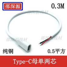 Type-C���^C��ĸ�^��������USB-C��о��2A��亸�ӆ��^�Դ����ɫ