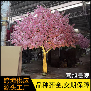 ����ѻ��� �҃ȾƵ�͏d���쌍ľ�ٙѻ����쾰�b� �����٘侰�^