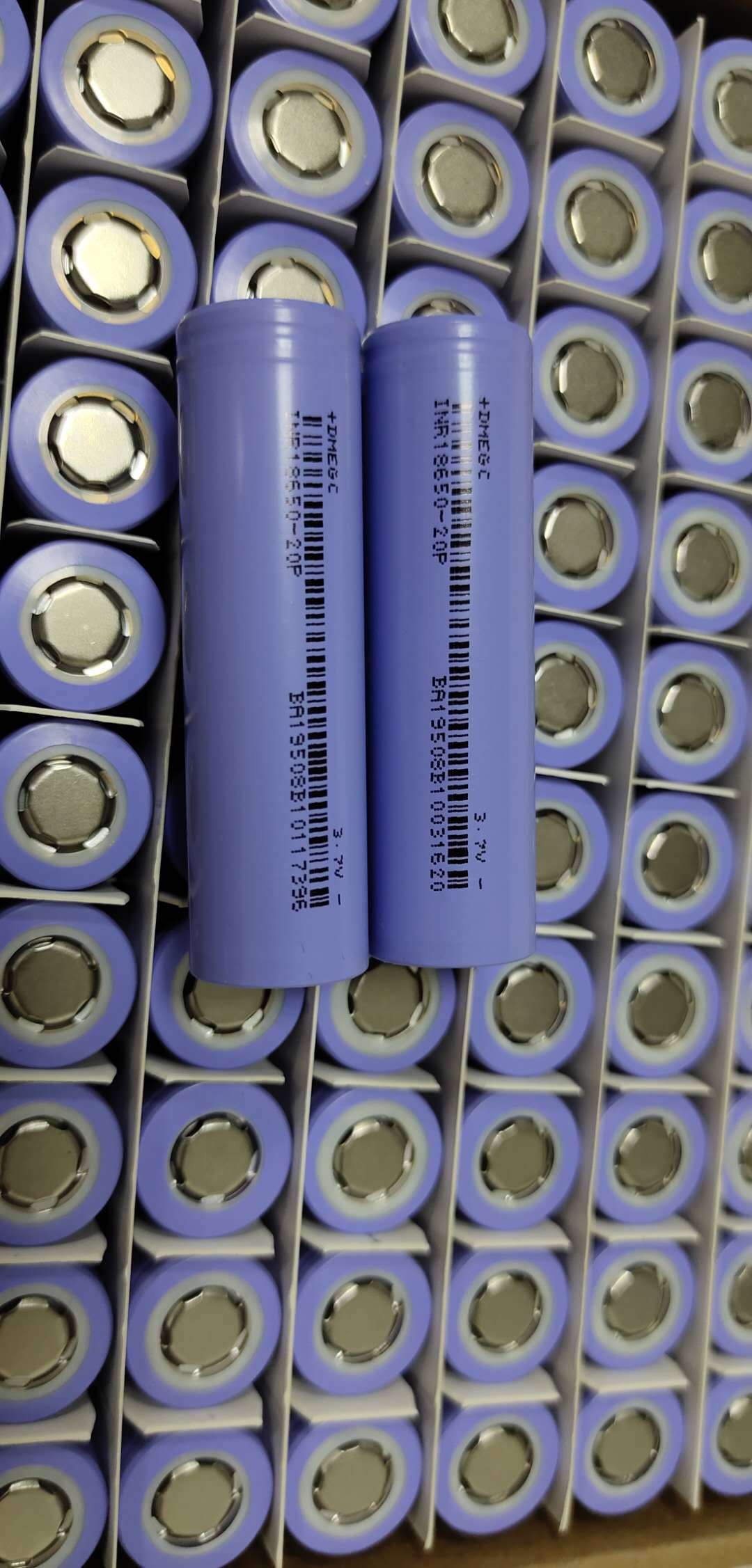 13830873287_1355567275