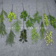 ����Gֲɭϵ��Y����Ŵ���b�Ī���L�J����������~Դ�^���S