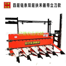 mݟN݆܇ոC֥ոCвșC