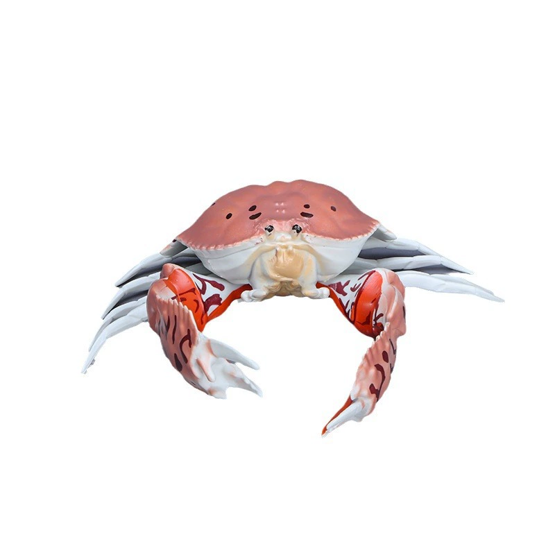 Marine realistic solid toy, science and technology, Birthday gift