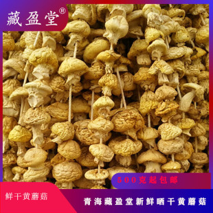 ��ӯ���ຣ�SĢ��97%���˛]���^�o���˹��Nֲ��ԭ�϶��ֹ�