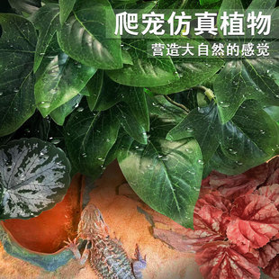 Crawler box landscape high simulation plant water and land ecological tank land turtle lizard guard Palace fake plant decoration bonsai decoration