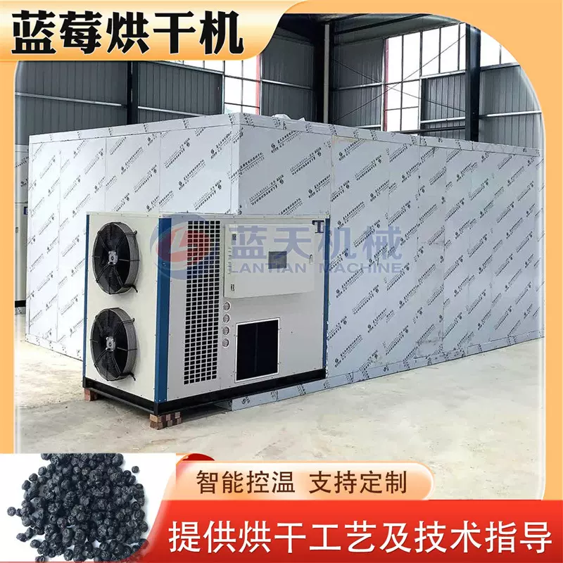 空气能蓝莓烘干机 大型越橘嘟柿龙果水果干烘干设备 蓝莓干烘干机