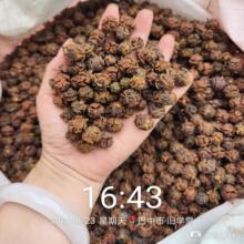 Ұ���Ĵ��Fժ���r���ӂȰع��ӂȰ��Ѱ��Ѱؘ���Ӹɰؘ������^��