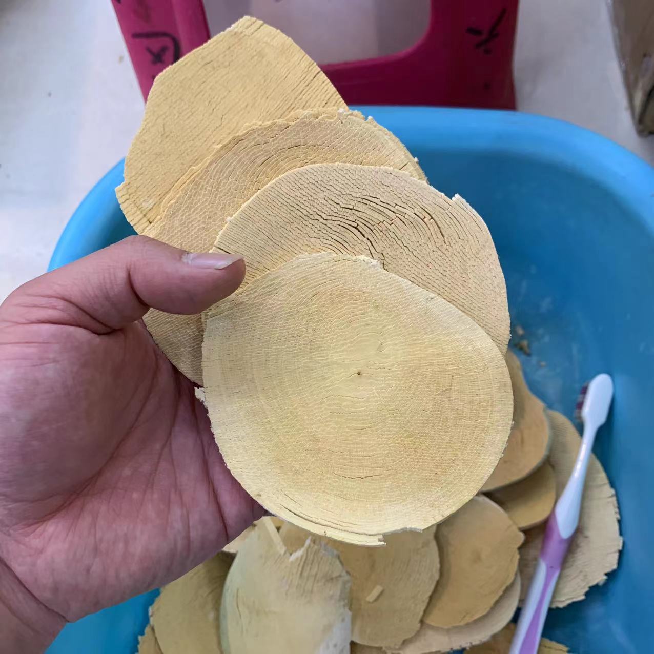 东革阿里黄片批发黄阿里原片马来西亚黄阿里一手货源中药材批发