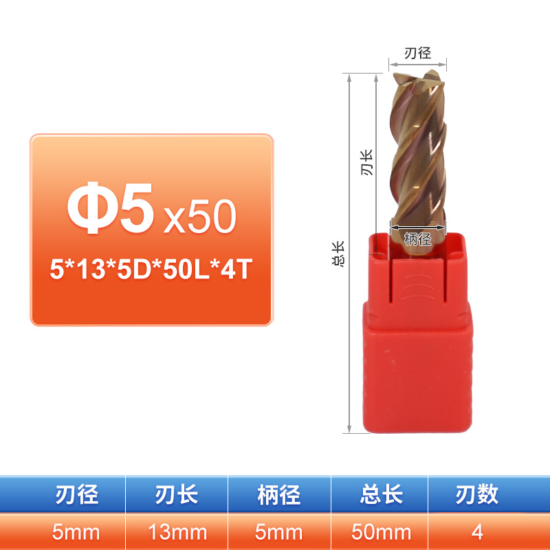 5*13*5D*50L*4T
