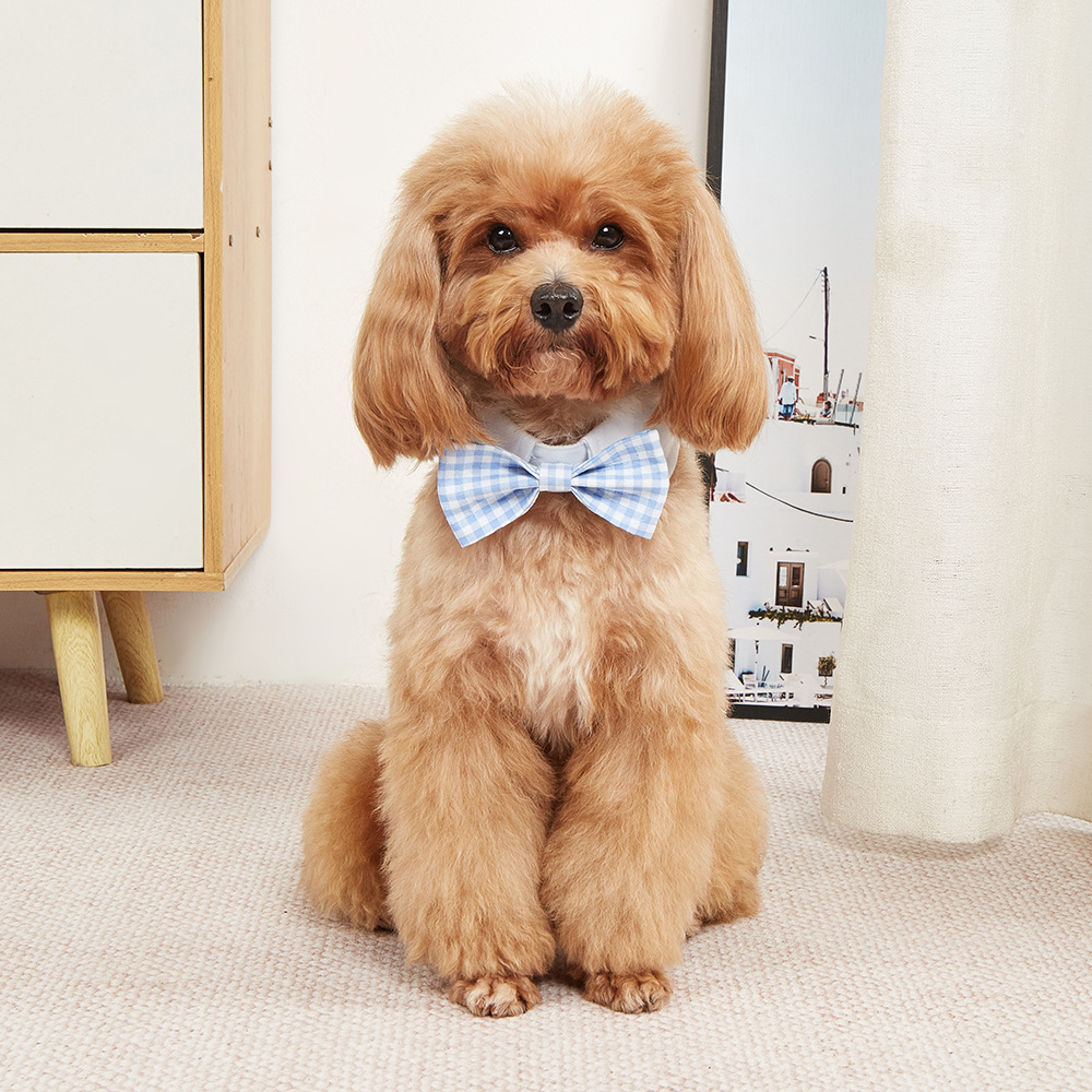 Tanpopo transfronterizo nuevo producto multicolor guapo mascota corbata velcro ajustable mascota accesorios arco