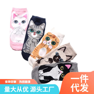 �¿����n�L�����޴��m��Ů�m��ͨ����Ůʿ�ɐ�؈�乷���m��