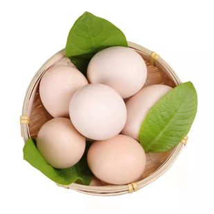 ɽ�|�r�����u���a��ֱ�l�u�����]�r�����u��һ�����l