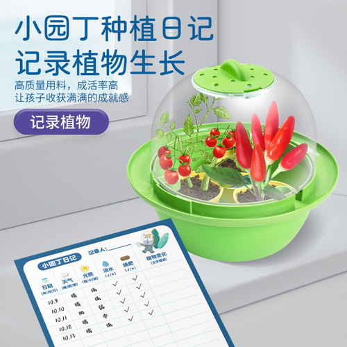 Learn from Yuma space planting capsule children's science experiment set vegetable plant growth hydroponic greenhouse cultivation toys