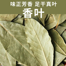 香叶散装干八角桂皮香料粉商用整片大料500g批发月桂叶干新货草本