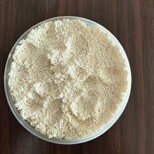 F؛D296֬ ׏|xӽQ֬ҺÓɫט֬