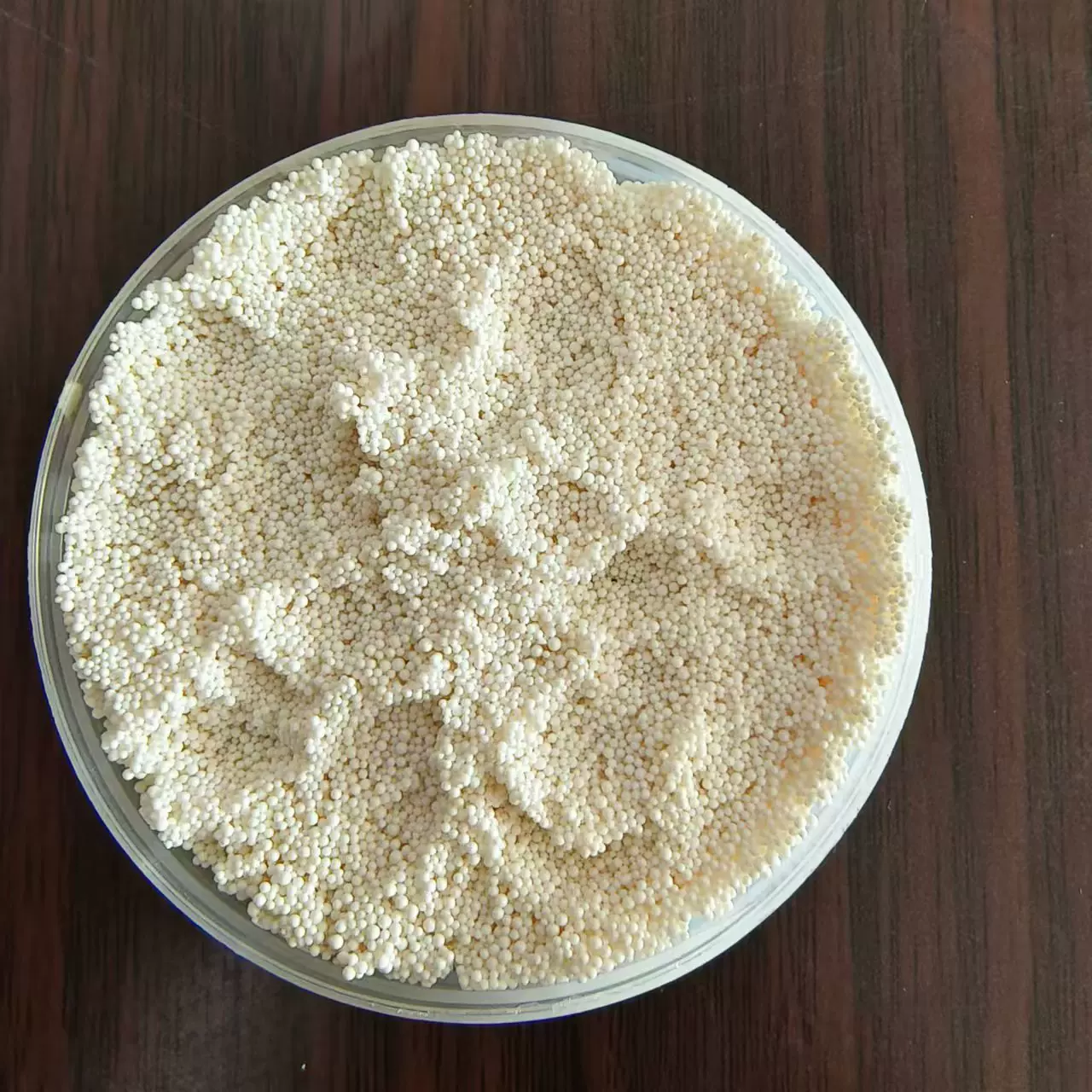 现货D202大孔强碱性阴离子交换树脂强碱Ⅱ型