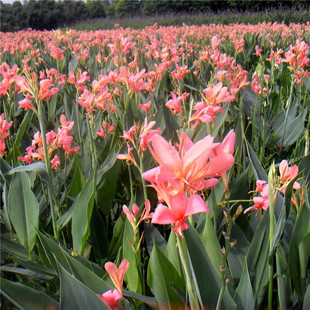 ����ֱ��  ���˽� �t�� �S�� �ۻ� ���~ ���~���˽� ����ă�