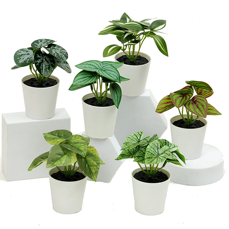 Pequeñas plantas verdes en maceta mini decoración de pared flores falsas hojas escritorio interior librería decoración de plantas verdes