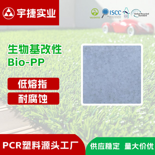 Bio-Based Polypropylene Modified Particles, Low-Carbon Environmentally Friendly Plastics, High Temperature Resistance, Corrosion Resistance, Strength and Toughness Bio-Pp